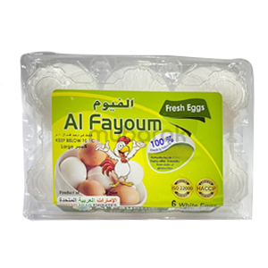 Al Fayoum Eggs Large 6pcs Main Image